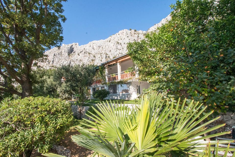 Property building, Garden