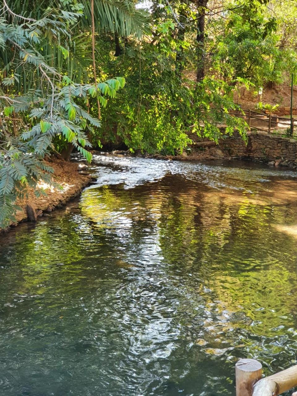 Natural landscape, River view