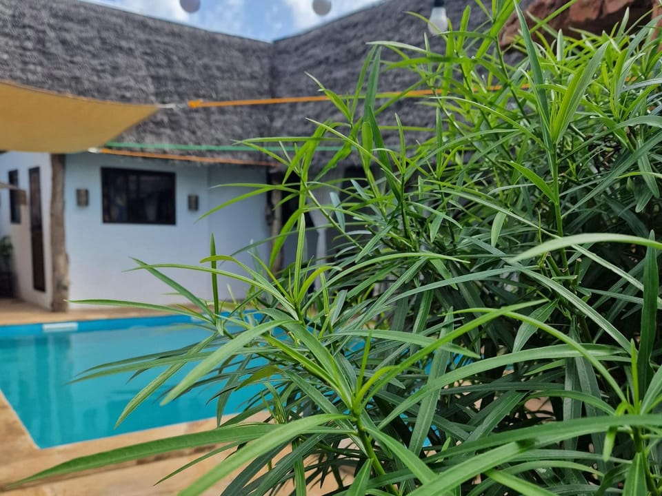 Villa Kumi Bed and Breakfast in Unguja North Region