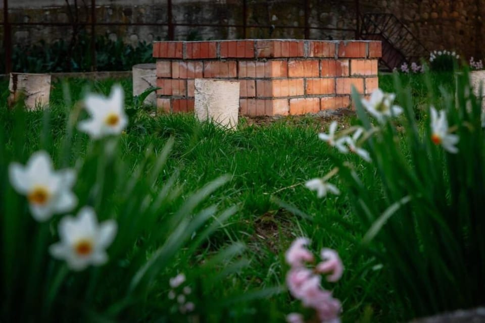 BBQ facilities, Garden
