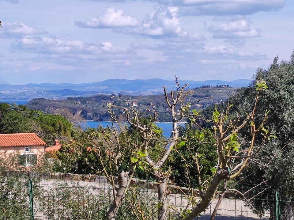 Apartma Sonja 2 piran Apartment in Piran