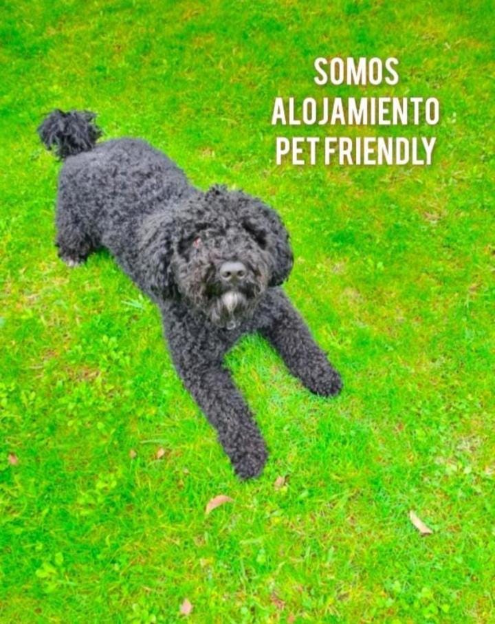 La Casita de Suances 2 Ideal Familias y Mascotas Apartment in Cantabria