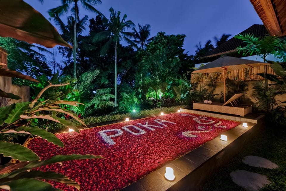 Night, Natural landscape, Garden, Garden view, Pool view, Swimming pool