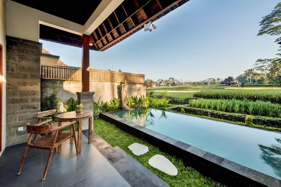 Patio, Spring, Day, Natural landscape, Garden, Balcony/Terrace, Garden view, Pool view, Swimming pool