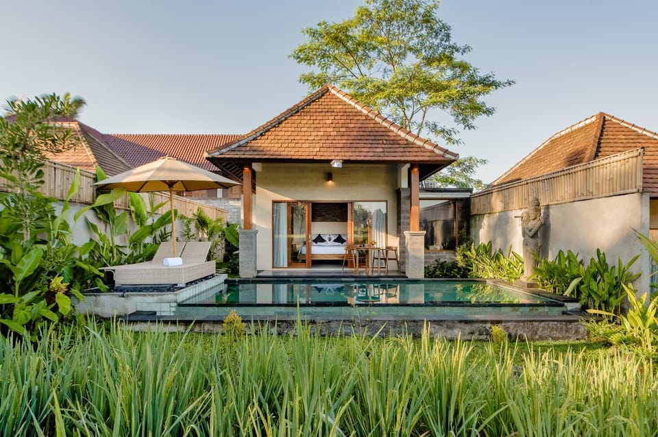 Property building, Spring, Day, Garden, Garden view, Swimming pool