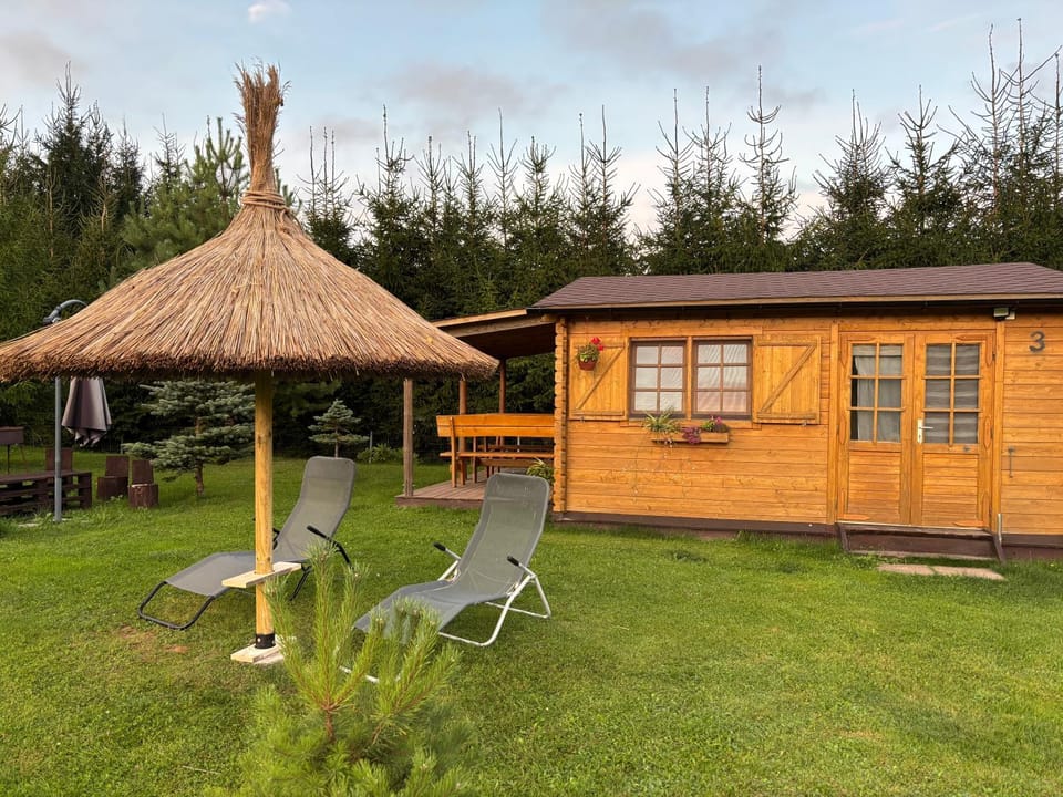 Villa de Alvydo Anykščiuose House in Lithuania