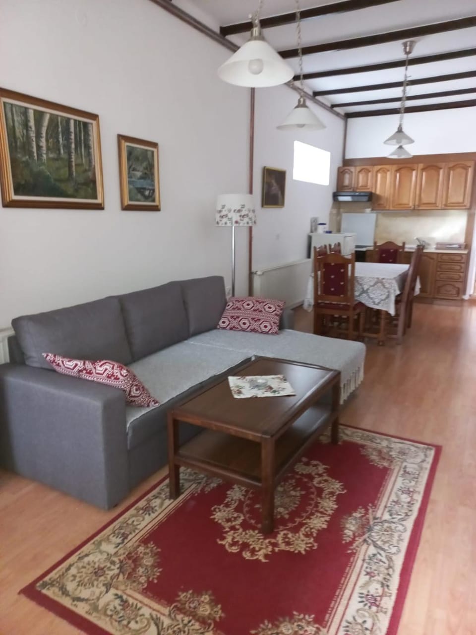 Gala Apartment in Serbia