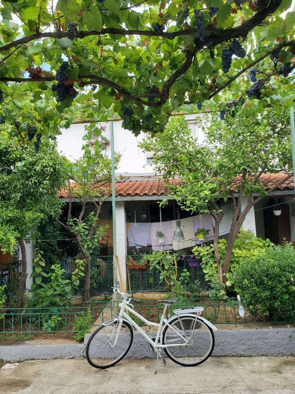 Garden, Garden view