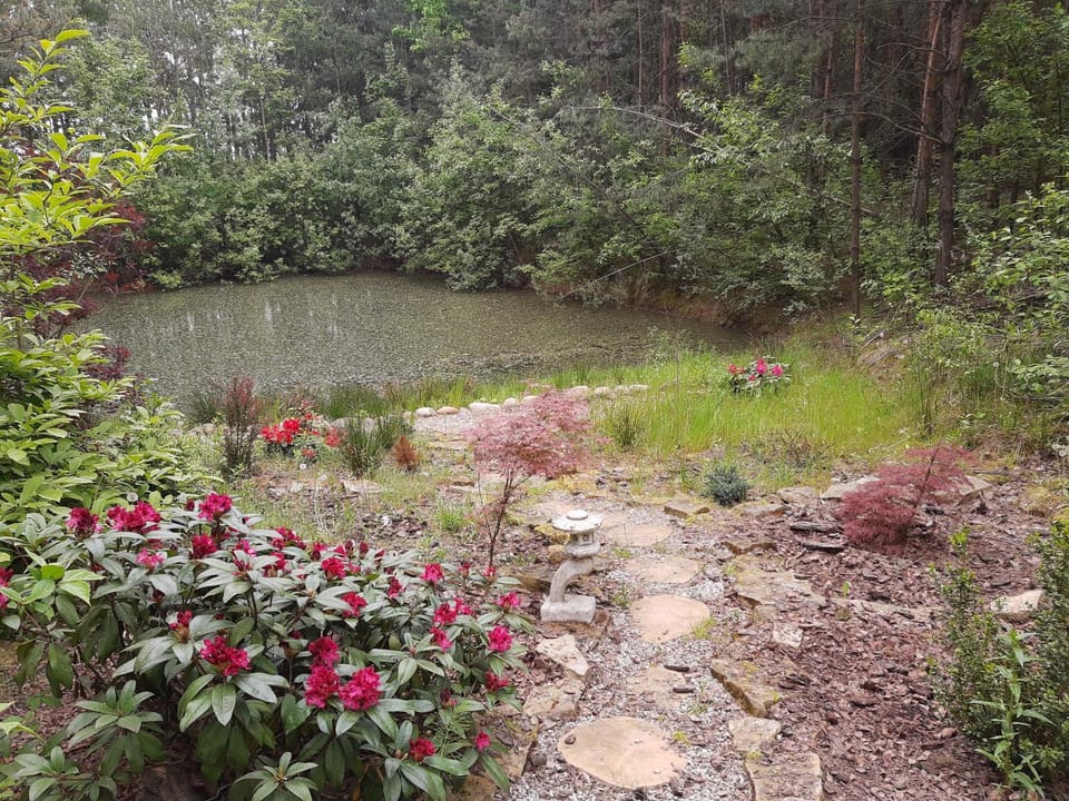 Natural landscape, Garden, Garden
