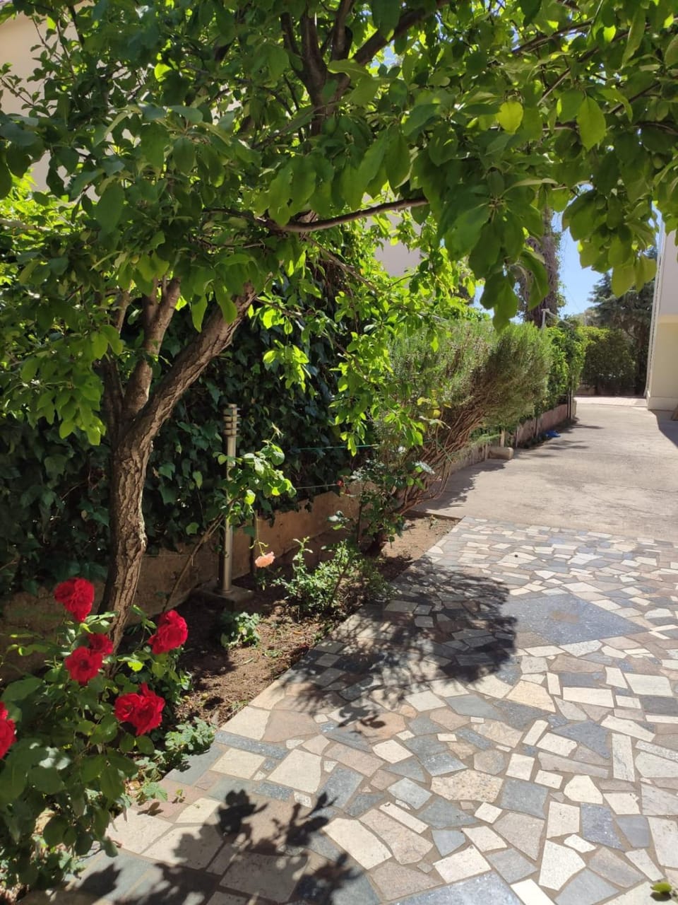 Day, Garden