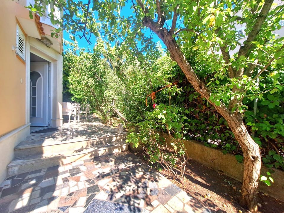 Property building, Day, Garden