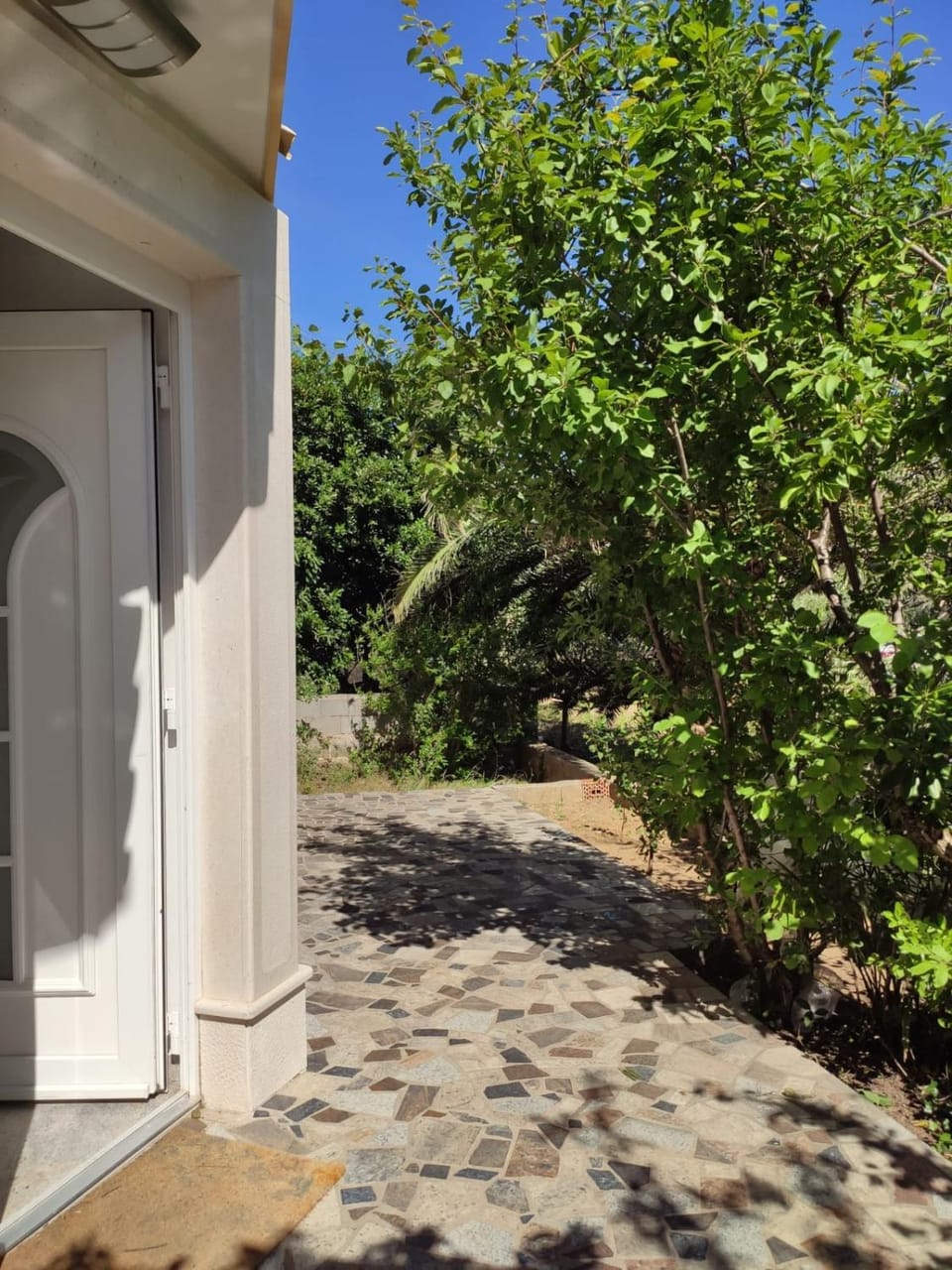 Day, Garden