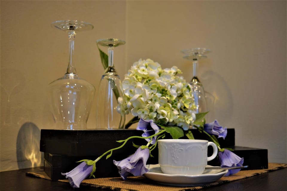 Mezonvin Hotel in Antwerp