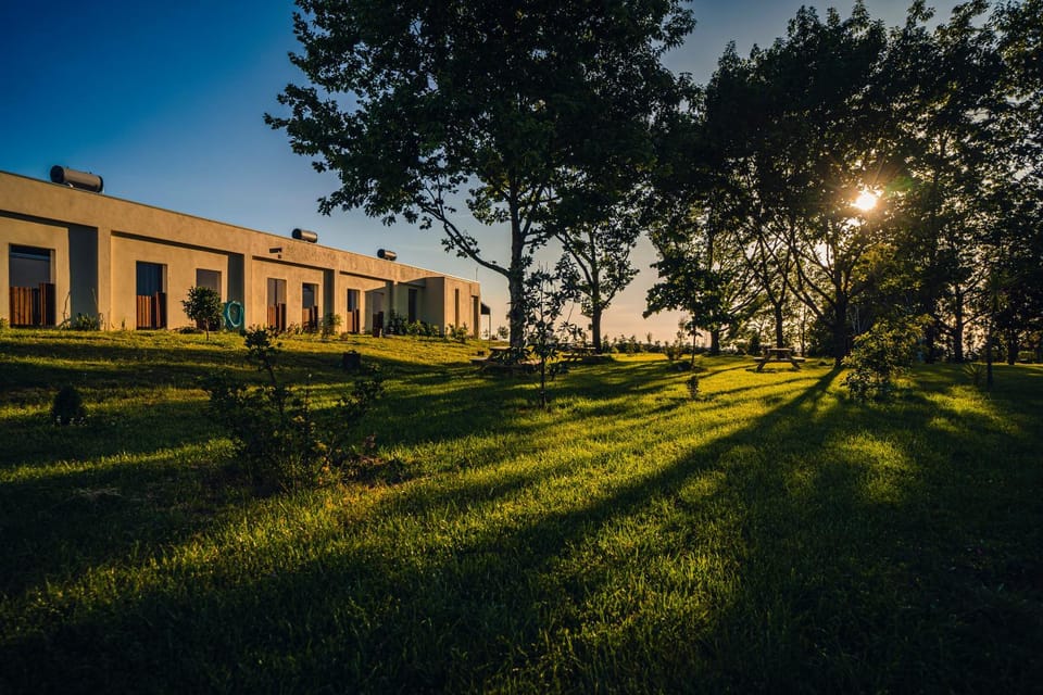 Garden, Garden view, Sunset