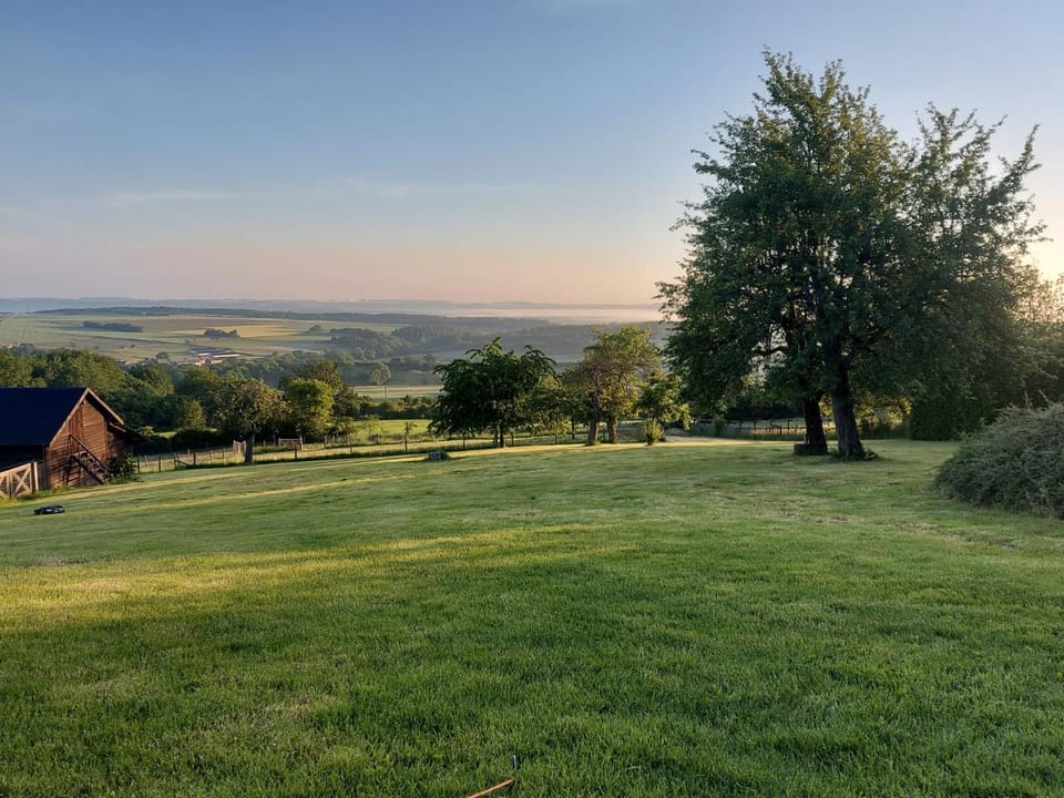 Natural landscape, Garden, Garden view