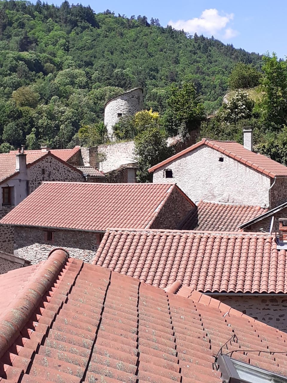 Gite La Vigne House in Auvergne-Rhône-Alpes