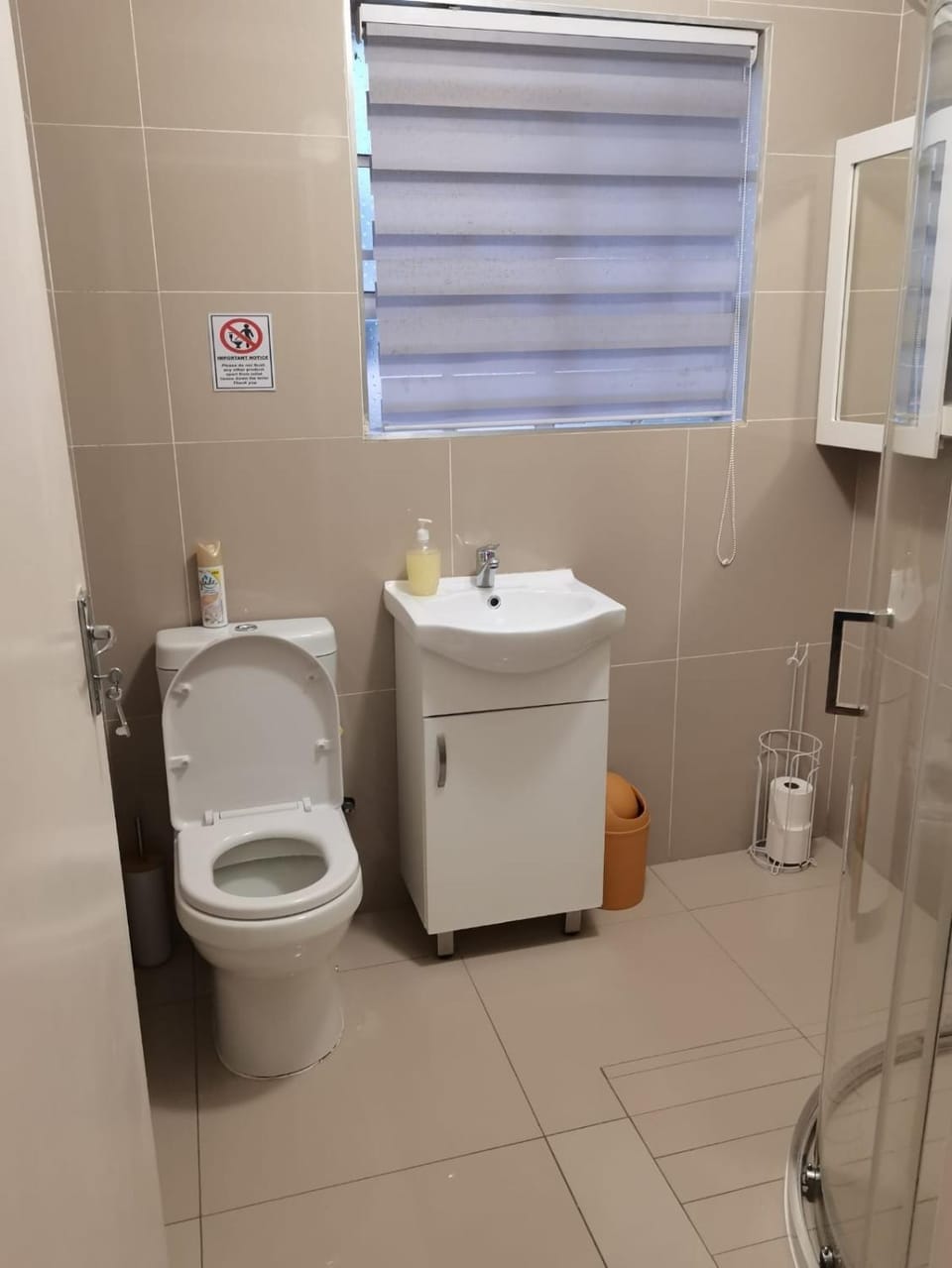 Toilet