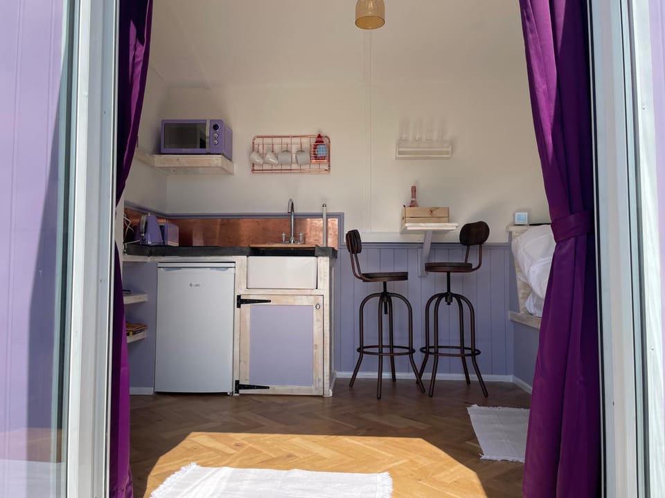 Lilac Tree Hut House in Wales