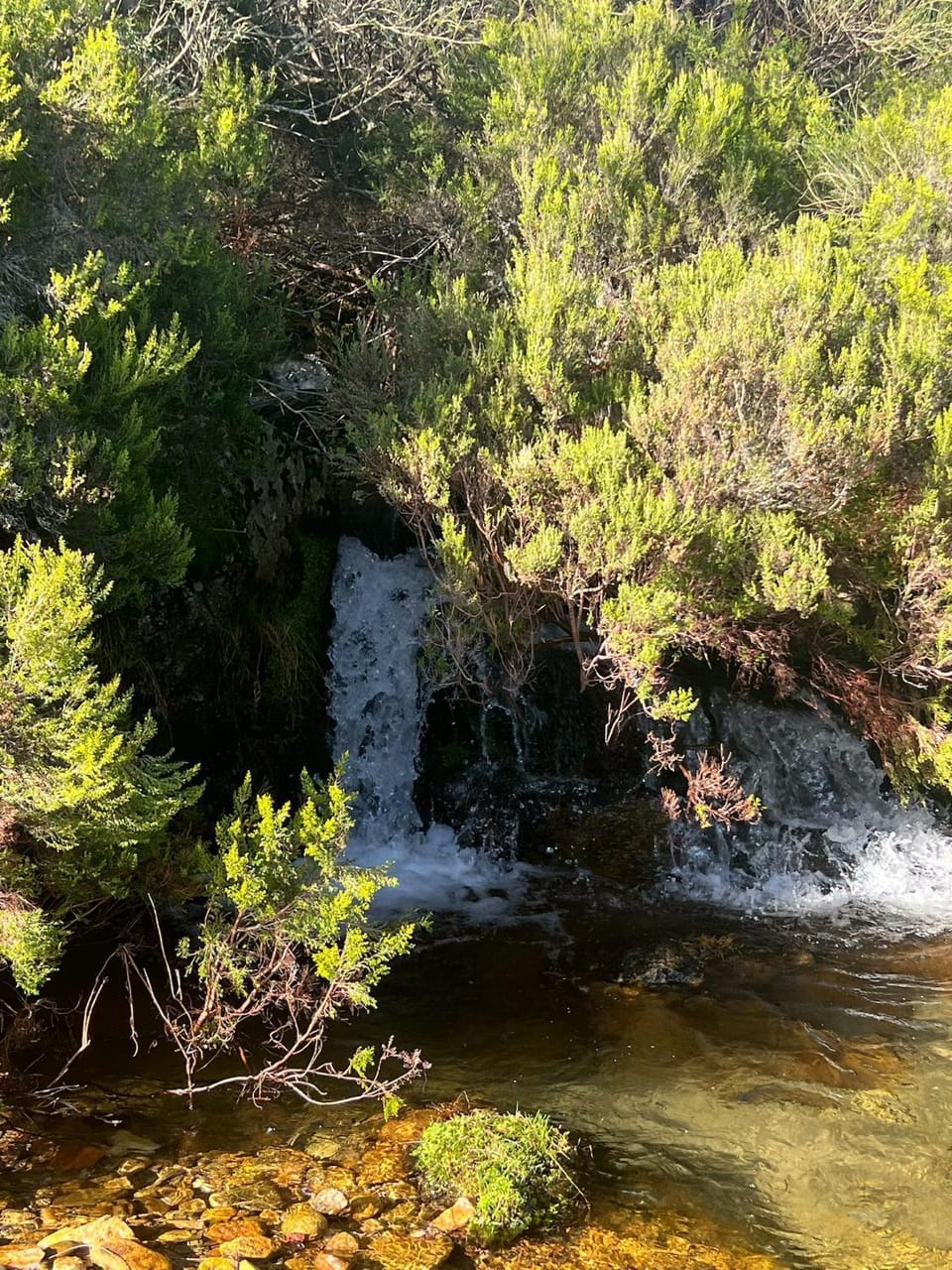 Villa Adilia Villa in Senabria