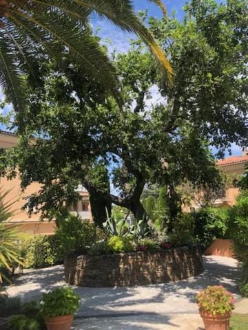 Belle résidence au centre de Saint Tropez avec piscine et garage Apartment in Saint-Tropez