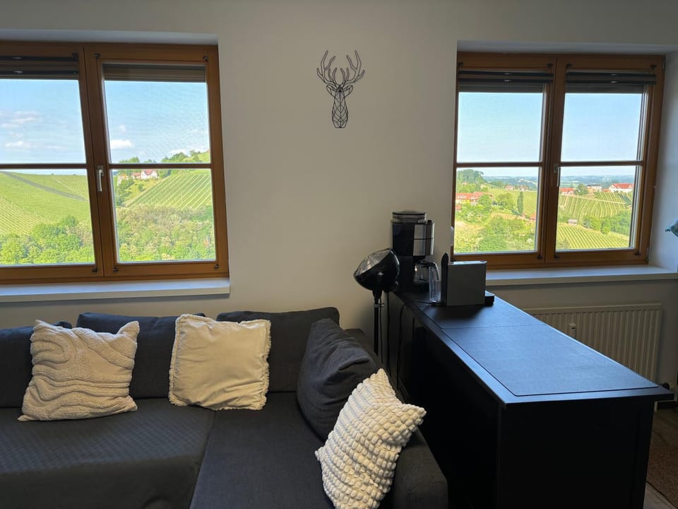 Glanz und Gloria Weingartenapartment an der Kellerstraße, viele Buschenschänke, sehr ruhige Lage, herrliche Aussicht! Apartment in Styria