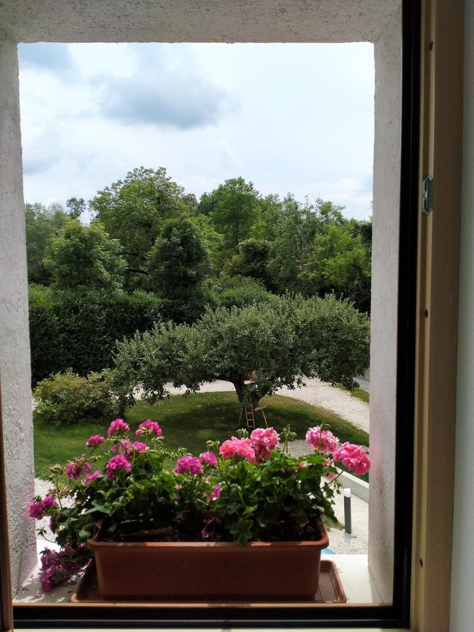 Garden view