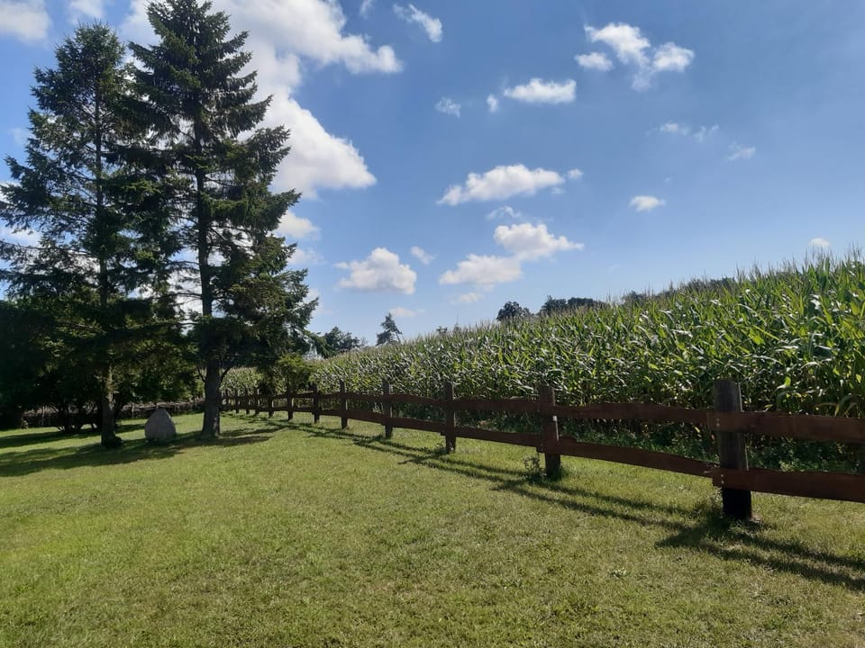Natural landscape, Garden view