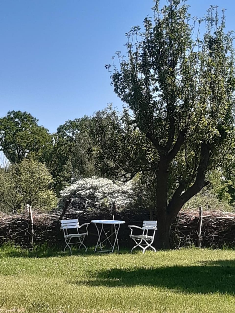 Natural landscape, Garden