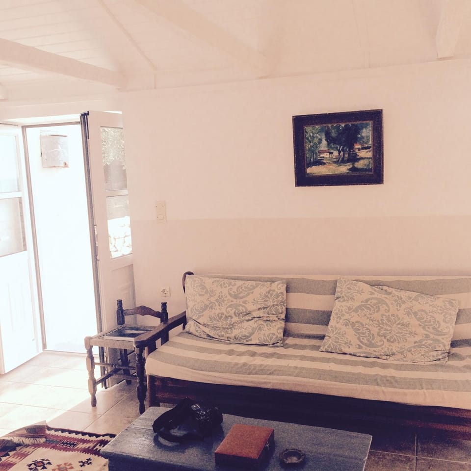 Afales View House in Ithaca