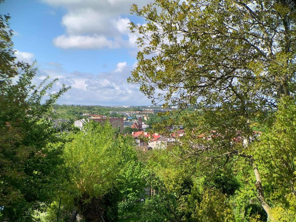 Natural landscape, BBQ facilities, Garden