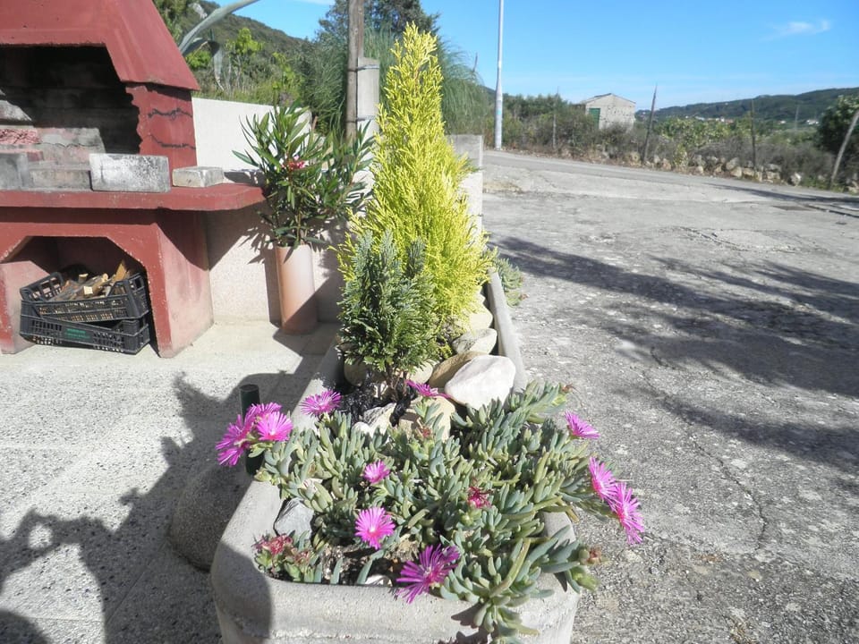 Property building, BBQ facilities, Garden