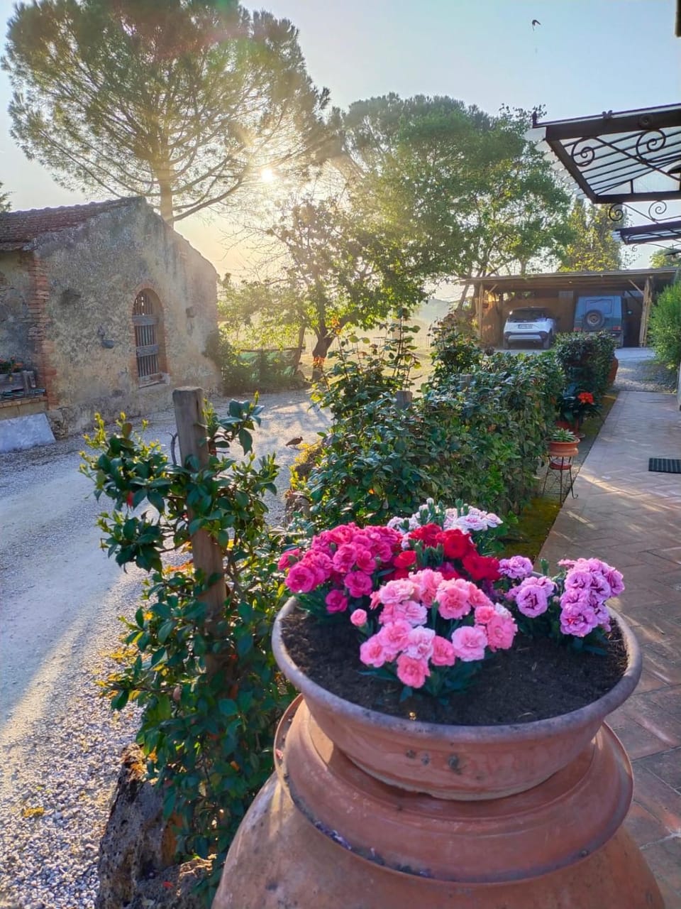 Garden, Garden view
