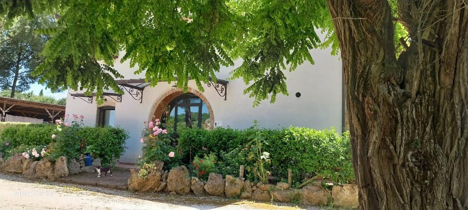 Property building, Spring, Garden view