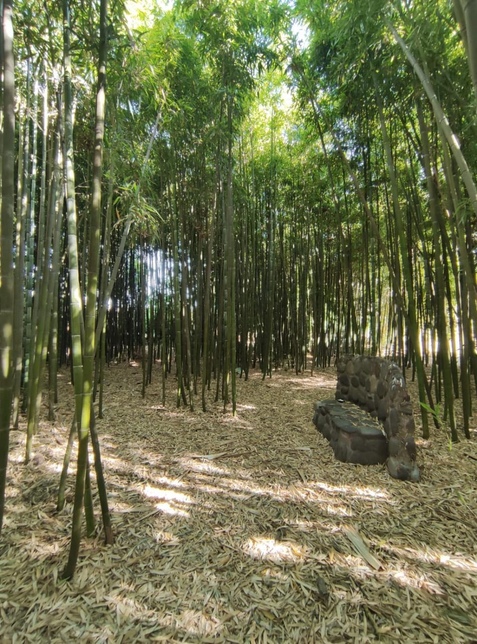 Natural landscape