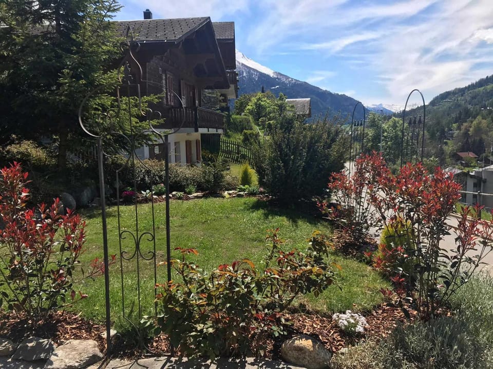 Mountain view