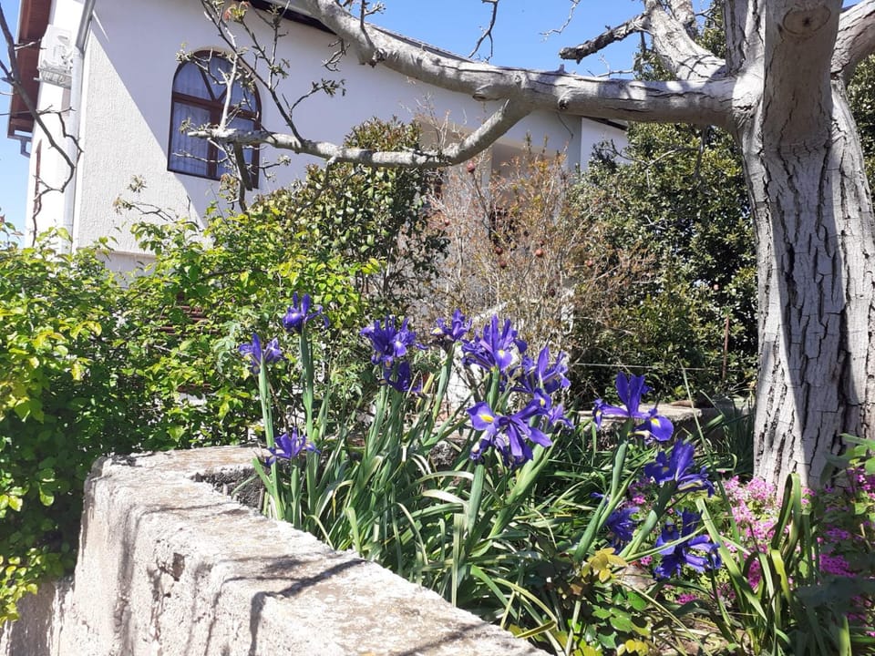 Apartman Sunce Apartment in Šibenik-Knin County, Croatia