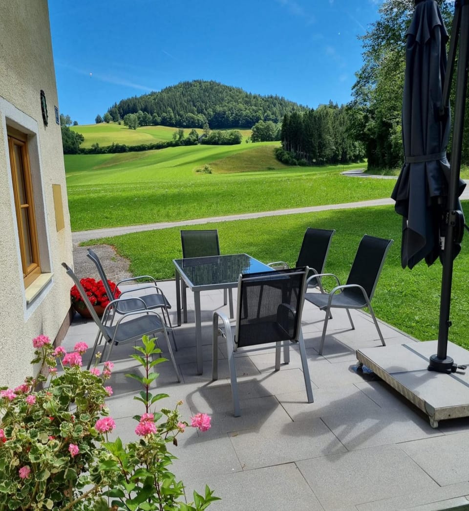 Property building, Garden view