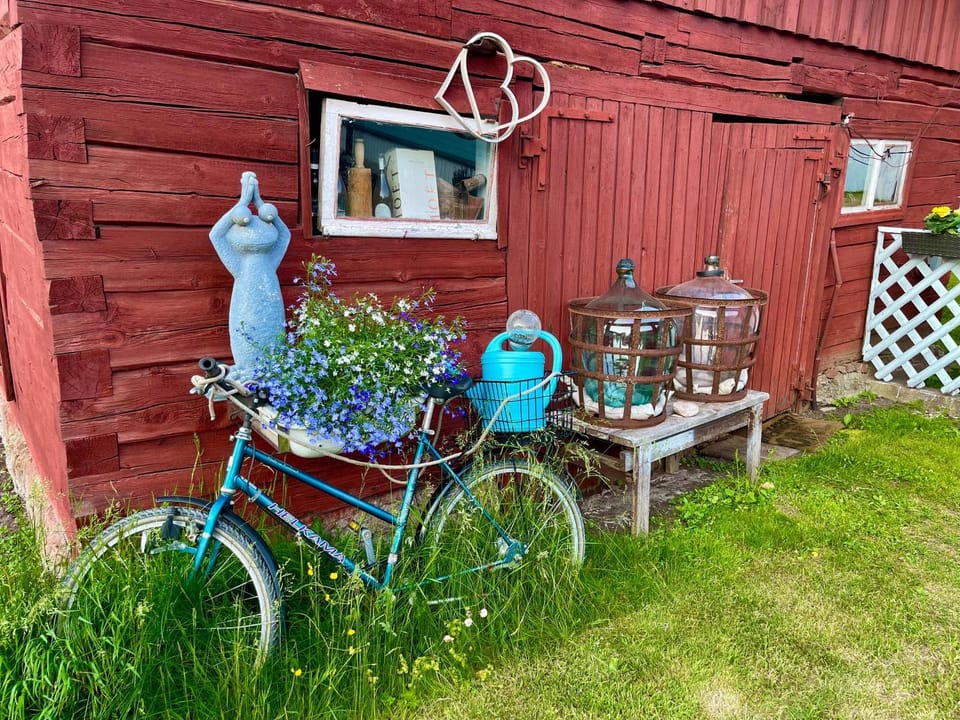 Summer, Garden, Garden view
