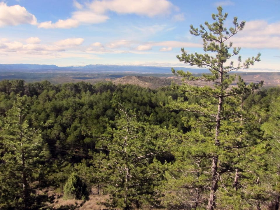 Natural landscape