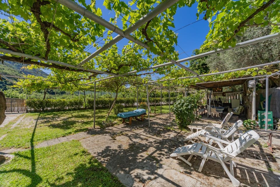 Patio, Living room, Food, storage