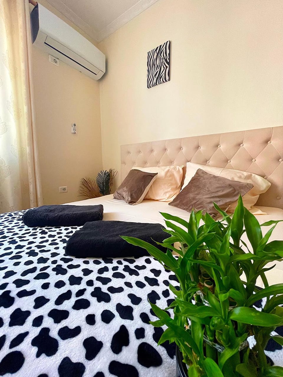 Apartaments SAFARI Apartment in Tirana County, Albania