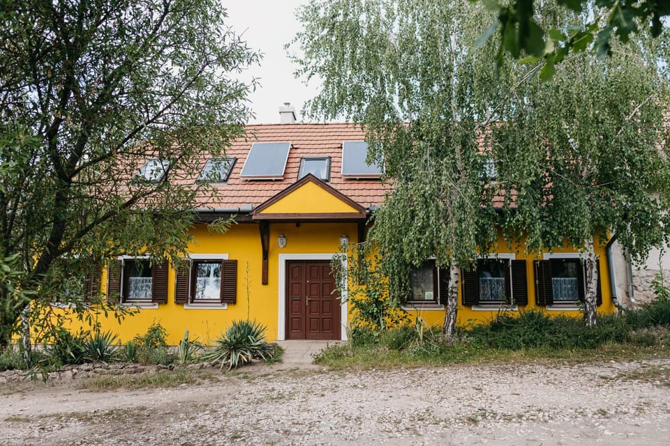 Property building, Facade/entrance, Garden