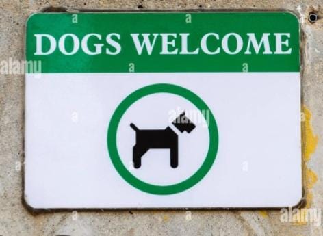 Pets
