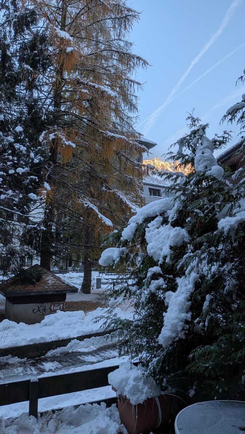 L'alpage Apartment in Chamonix