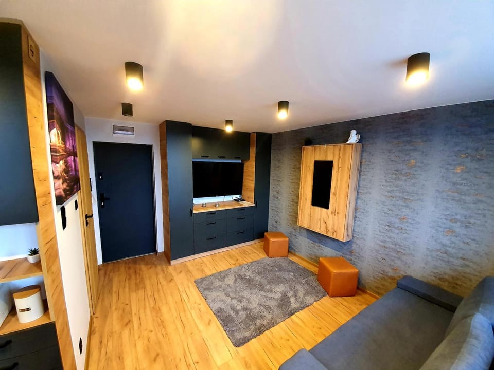 Apartament przy alei Kopernika Apartment in Greater Poland Voivodeship