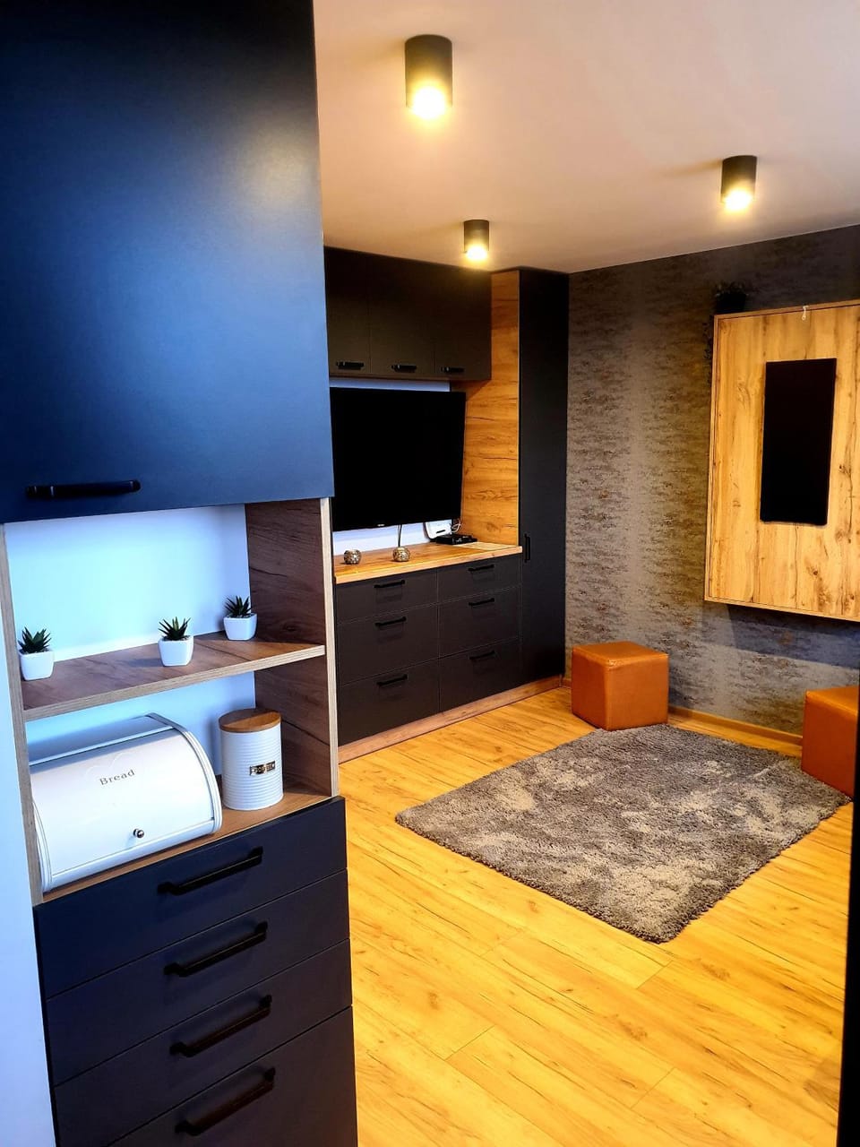 Apartament przy alei Kopernika Apartment in Greater Poland Voivodeship