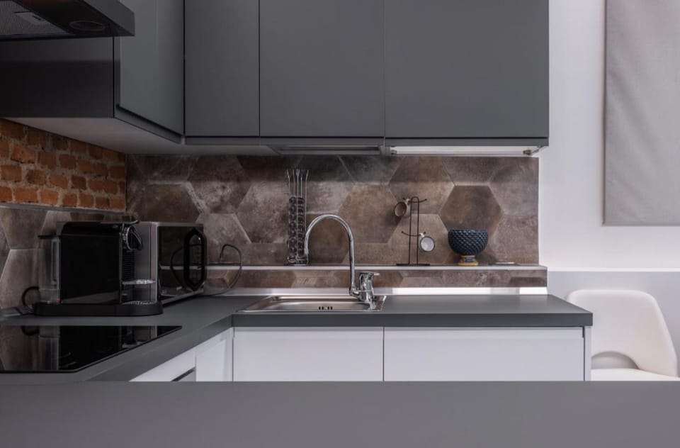 Kitchen or kitchenette, dishwasher, minibar, pet friendly, stove