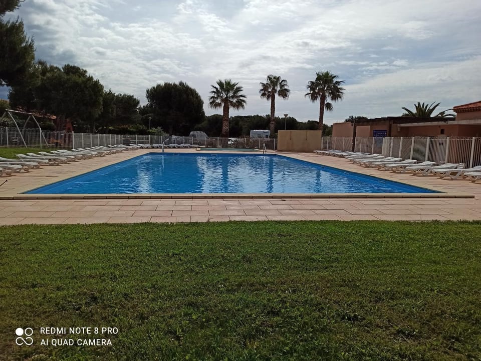 Pool view, Swimming pool, sunbed