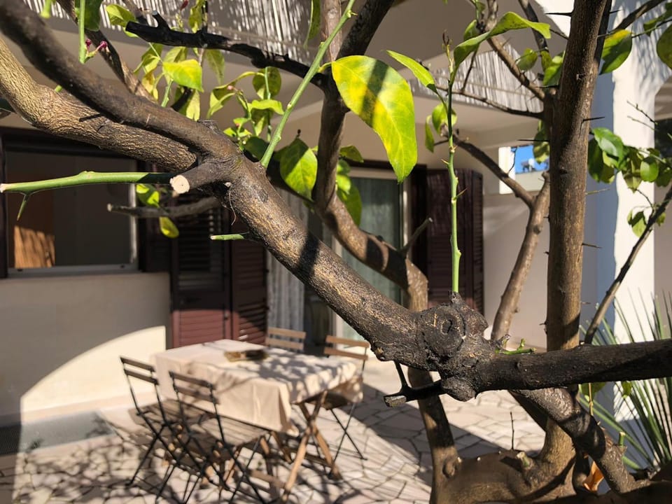 Spring, Day, Garden, Garden view