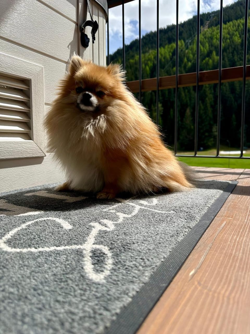 Hot Tub, View (from property/room), pet friendly